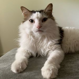 Meet your Posher, Claire